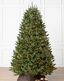 Árvore De Natal Com Micro LED Embutida